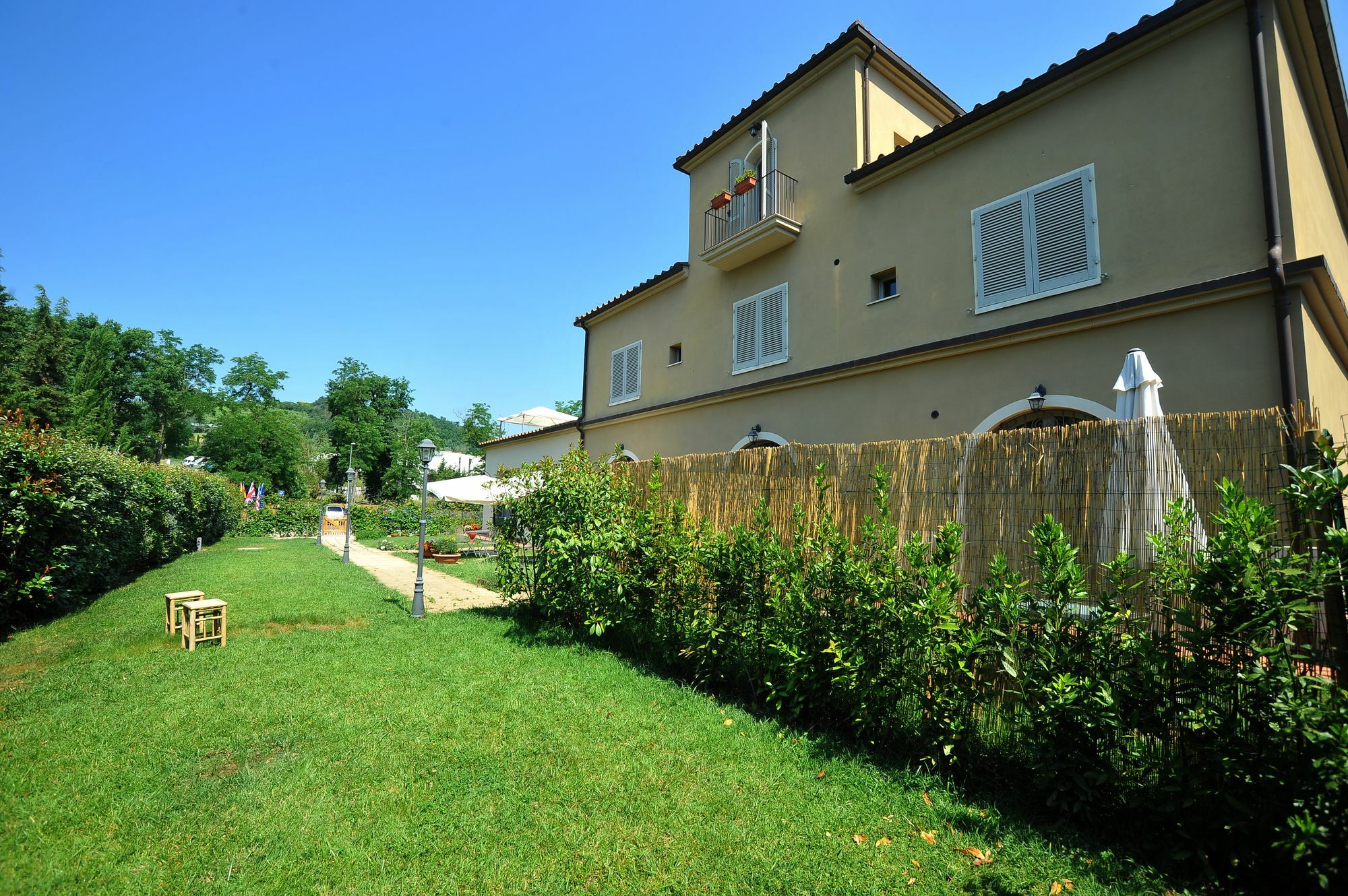 Sogno D'oro